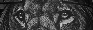 MoisesCruz's profile banner image