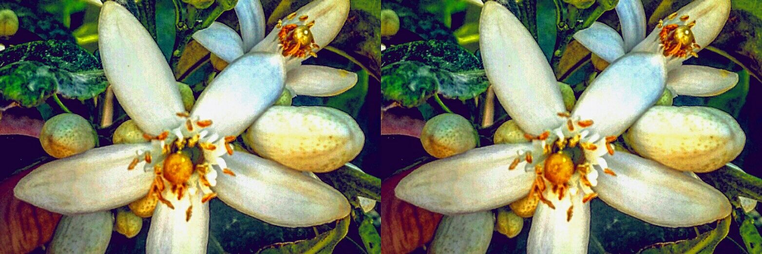 Israel Caballero 🇪🇦 banner