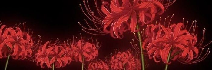 M4xx_V's profile banner image