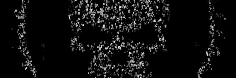 traumatichc's profile banner image