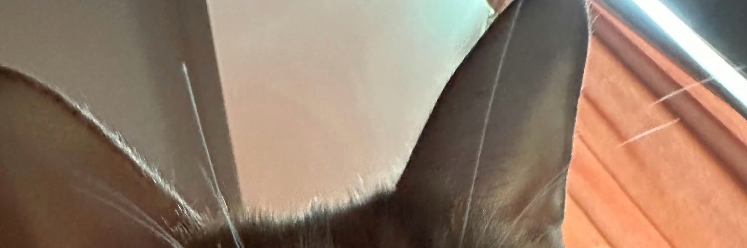 stickwithq's profile banner image