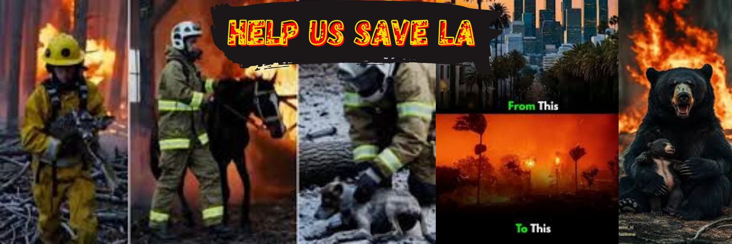 la_fire_donate's profile banner image
