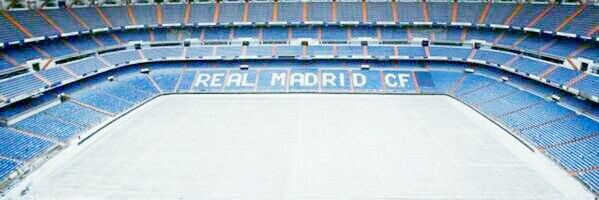 SHE banner