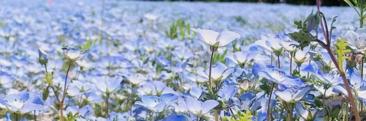 ぐろう banner
