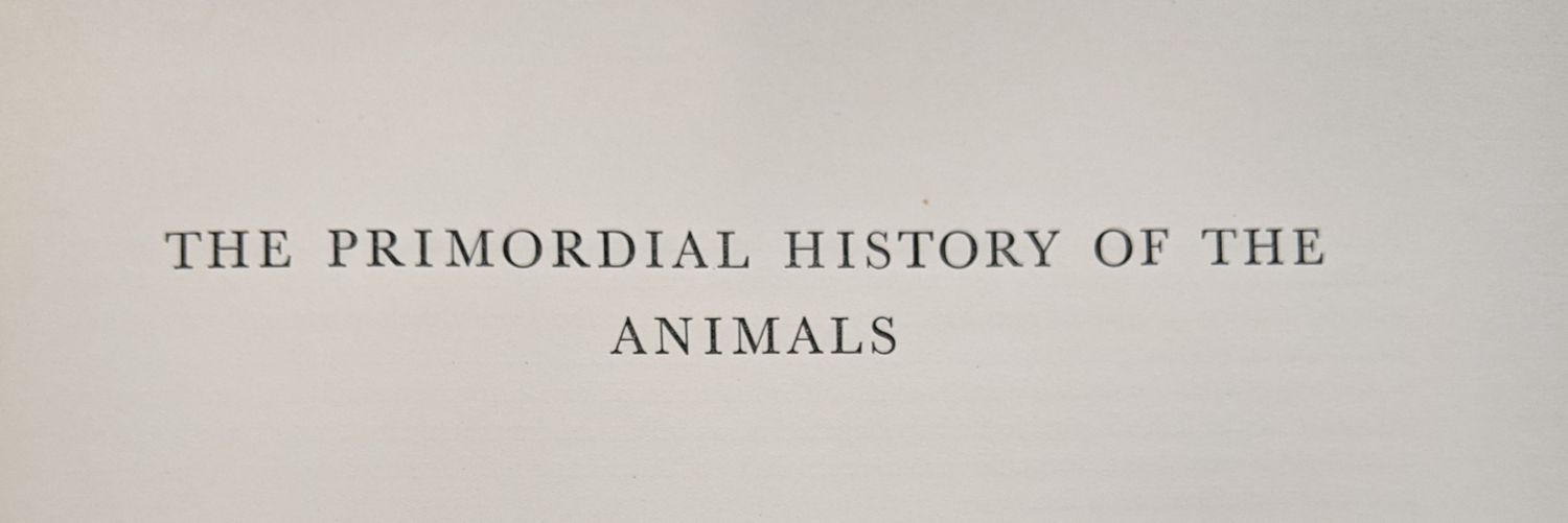 Matt Friedman banner