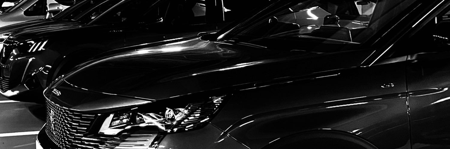 z200's profile banner image