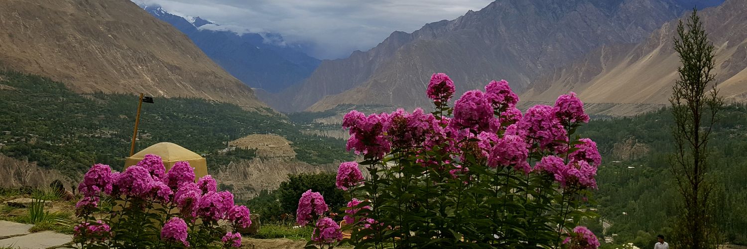 RabiyaJaveri's profile banner image