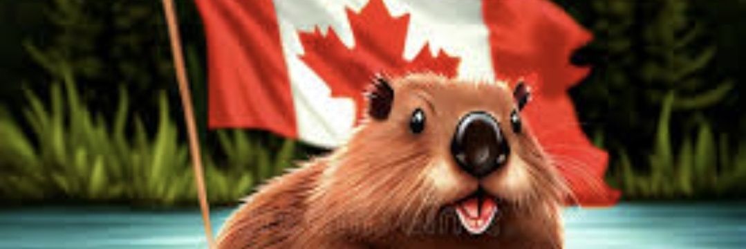🇨🇦 JohnnyCanuckFDT banner