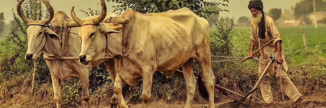 RajD_'s profile banner image