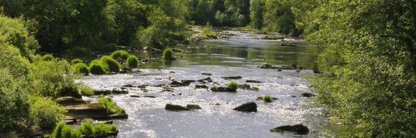 WUFoundation Profile Banner