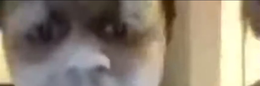 Hammy “The Truth” Sackworth banner