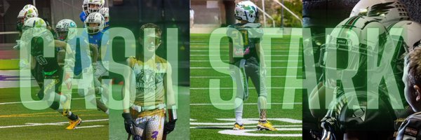 CashStark_ Profile Banner