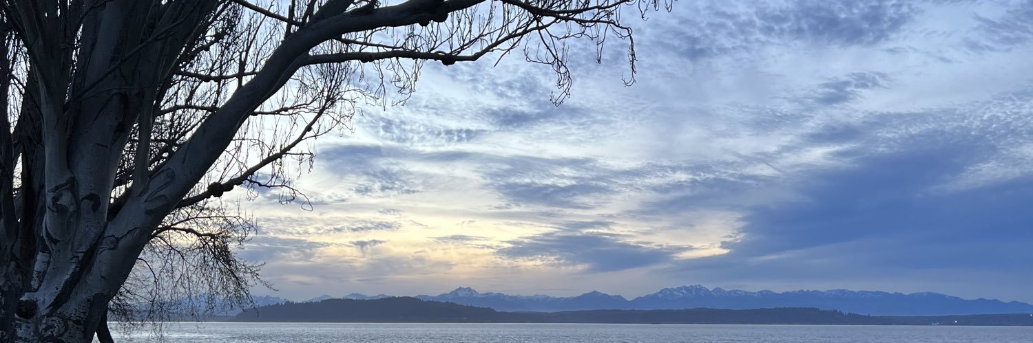 Matthew Dressman banner