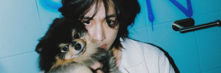 dolilayover's profile banner image