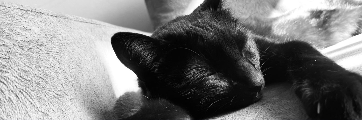 angikeda's profile banner image
