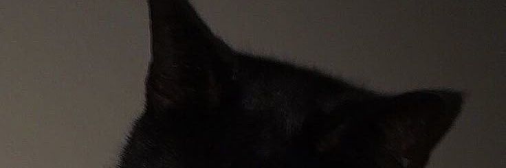 blackkittykyun's profile banner image