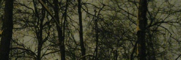 mc_cheezit Profile Banner