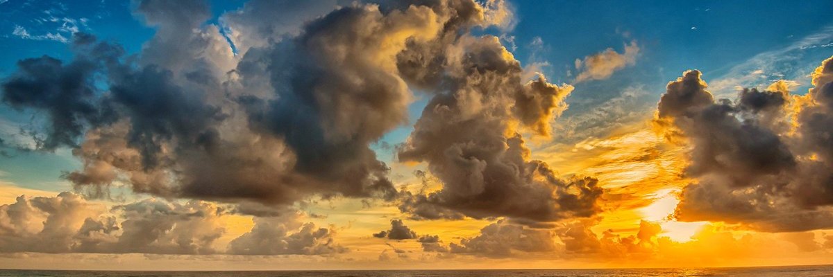 tonyli288's profile banner image