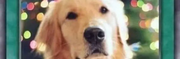 Urtzi92's profile banner image