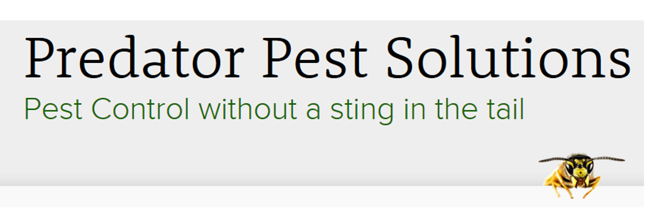 predatorlondon's profile banner image