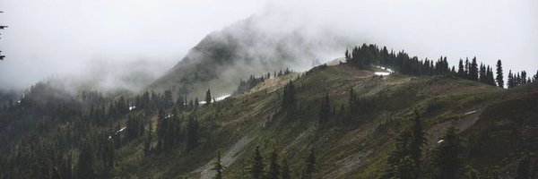 Lsyeeux Profile Banner