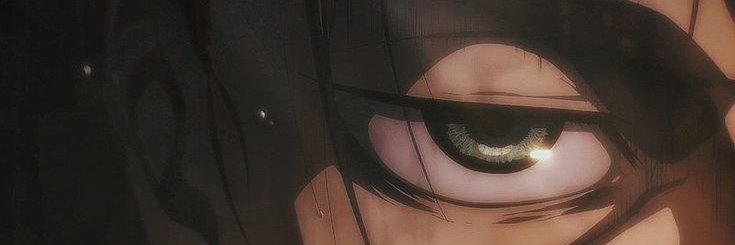 MONO banner