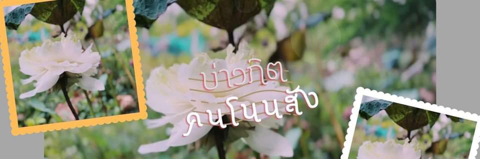SomjitSaitree's profile banner image