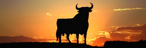 SergioFBVS's profile banner image
