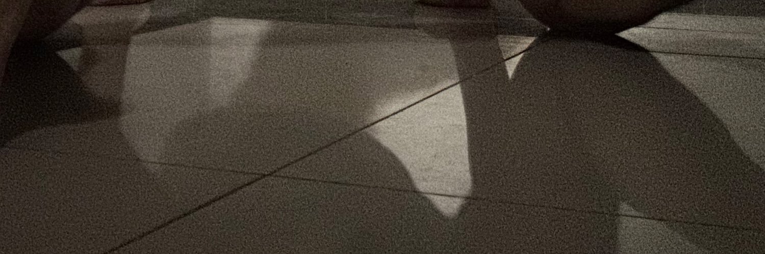 llllsssccc's profile banner image
