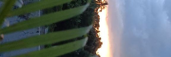 D_R_O_P_X (❖,❖) banner