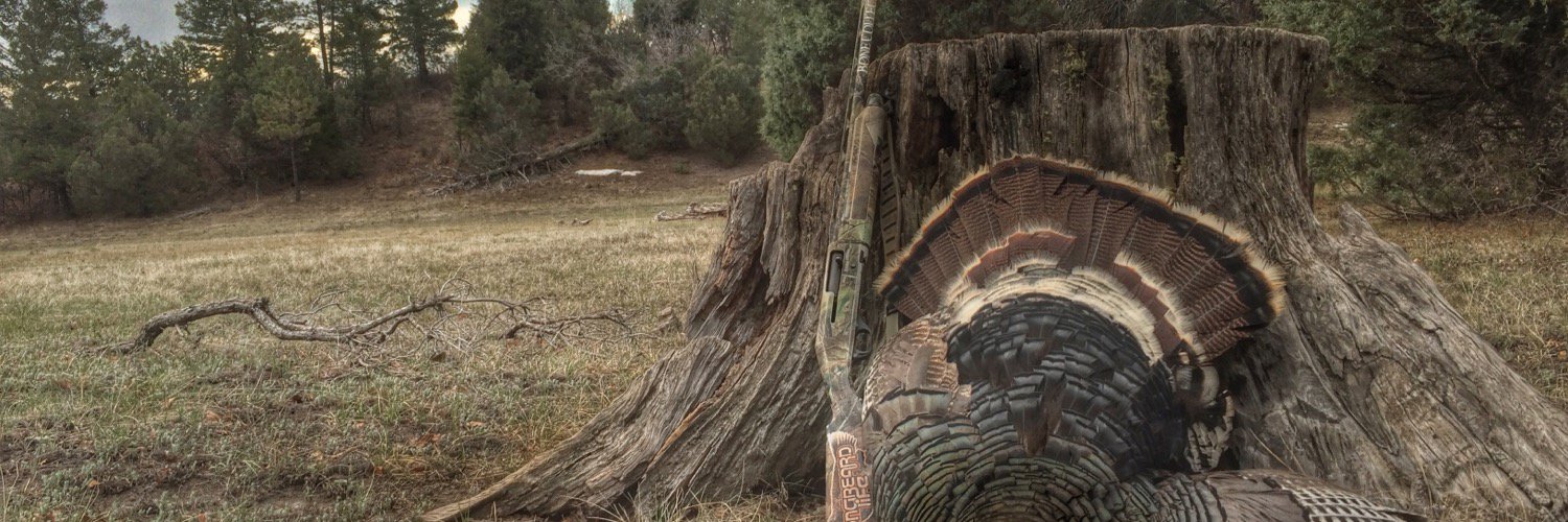 JasonHeathcoe's profile banner image
