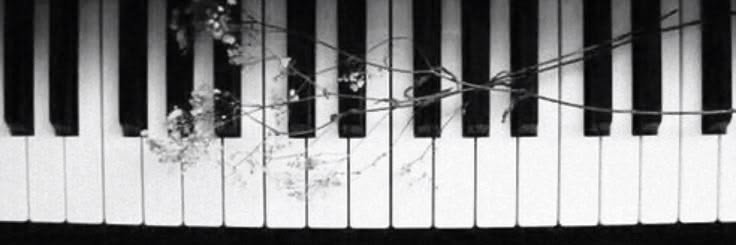 Matuu_wiwi3's profile banner image