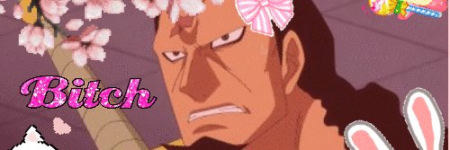 💅Mimo the DILF expert (Dressrosa fanatic)'s banner