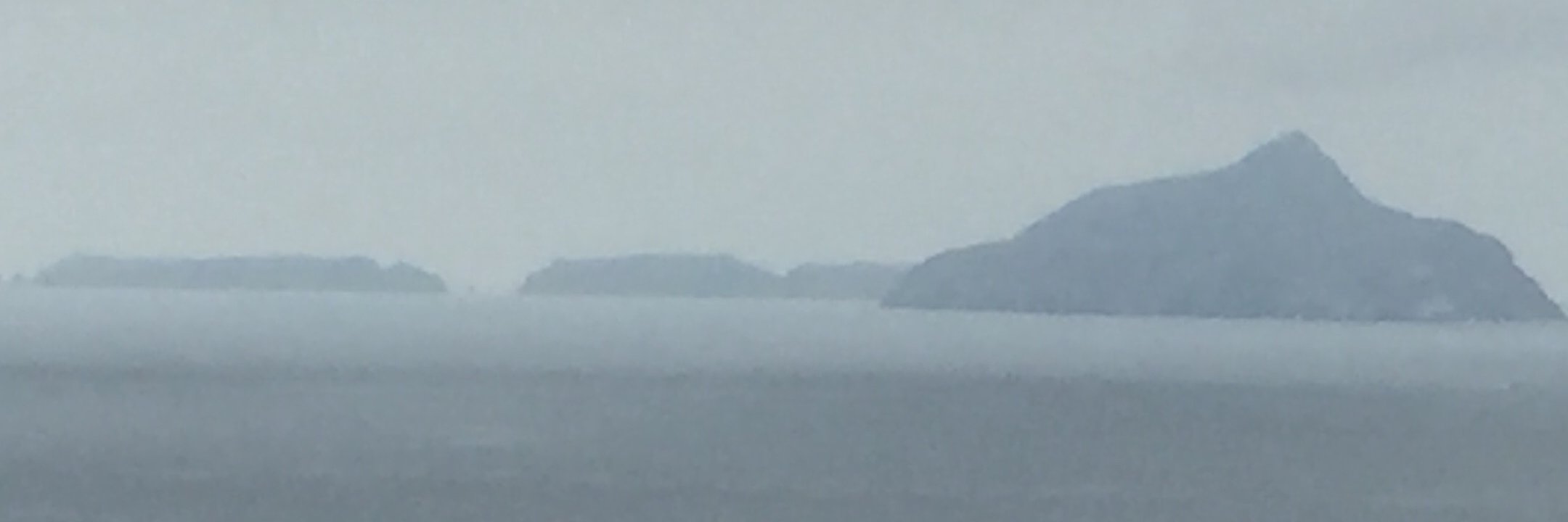 Natalie Profant Komuro banner