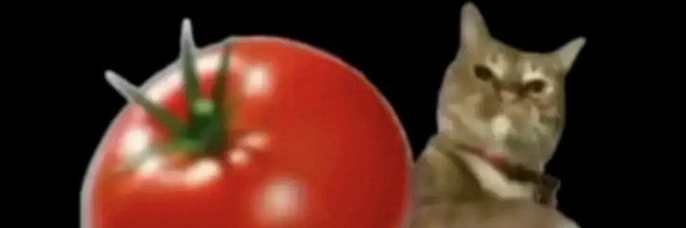 TheEvilPerc's profile banner image