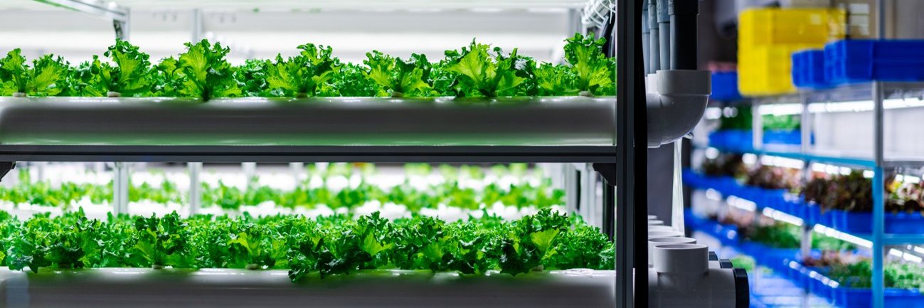 スパイスキューブ株式会社 banner