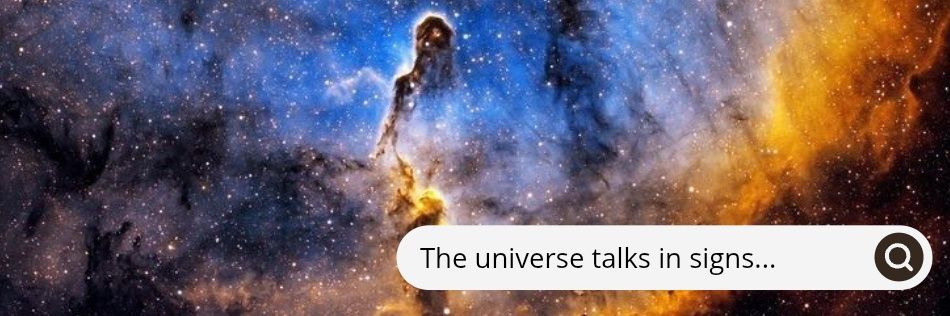 Universe Vibe's banner