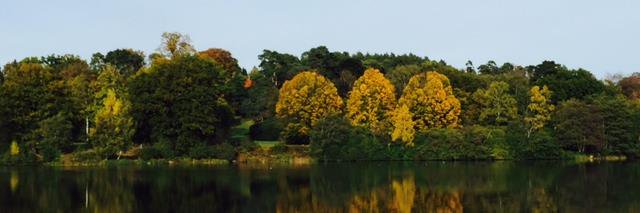 Lesley Paulson banner