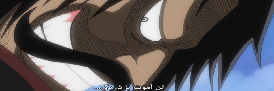 Ezo banner