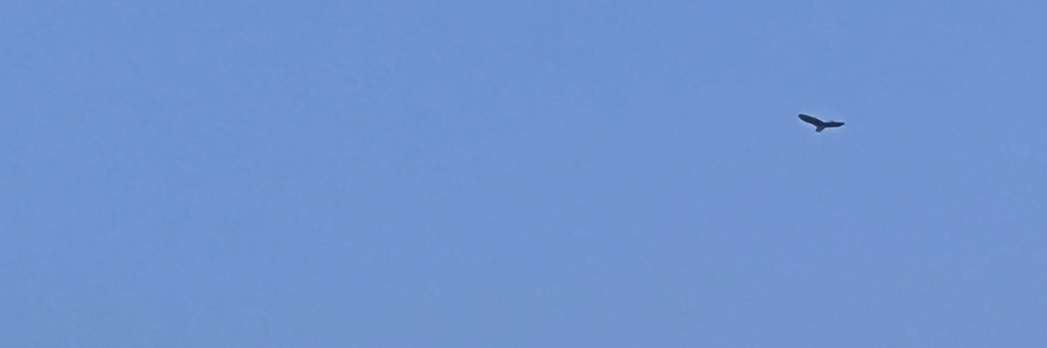 ゅゅ banner