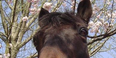 franfranz01's profile banner image