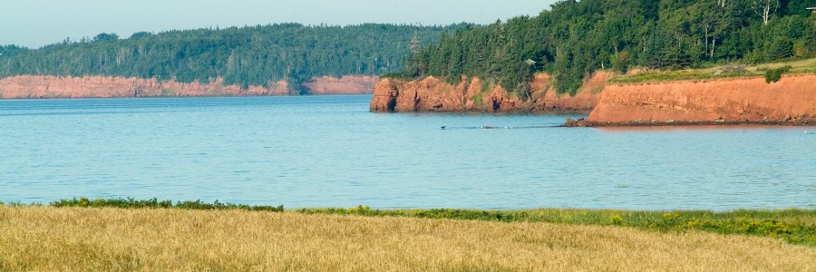StratfordWater's profile banner image