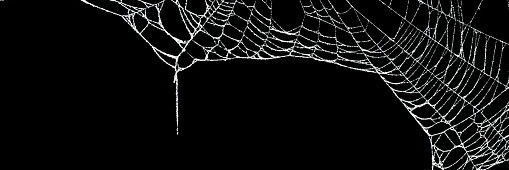 syn1481315's profile banner image