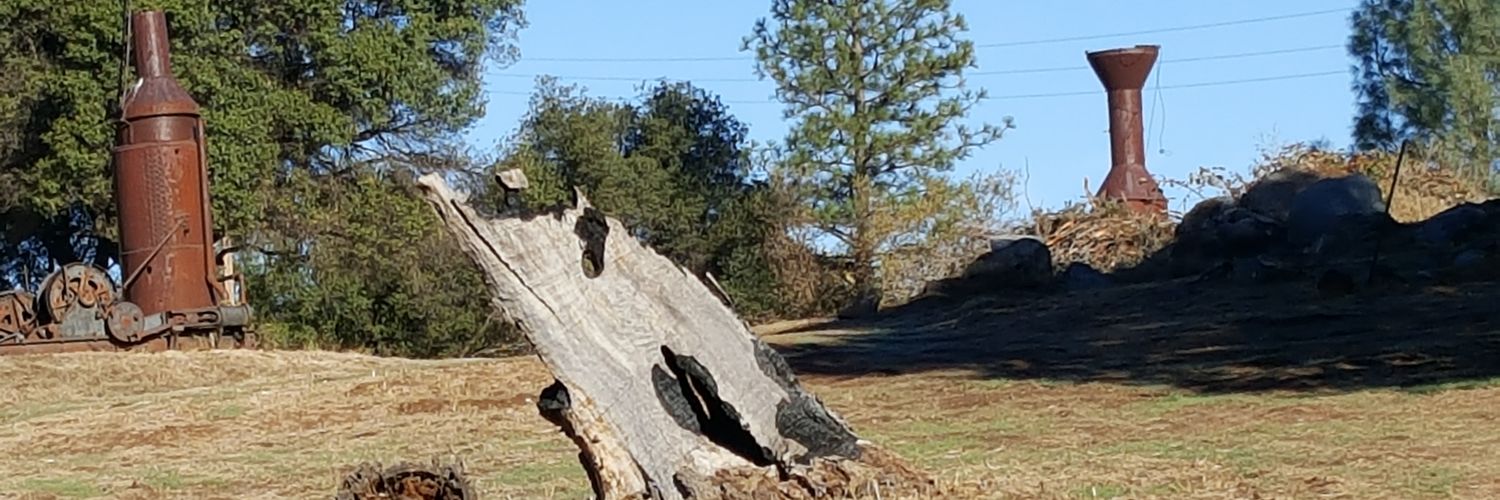 DylanRichardson's profile banner image