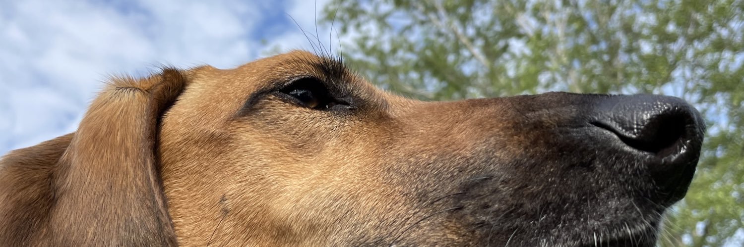 marymconklin's profile banner image