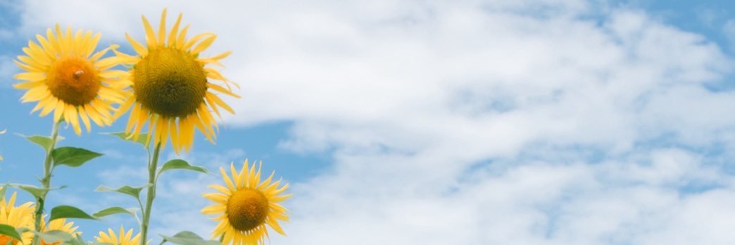 sa☺︎ 8m🦕 banner