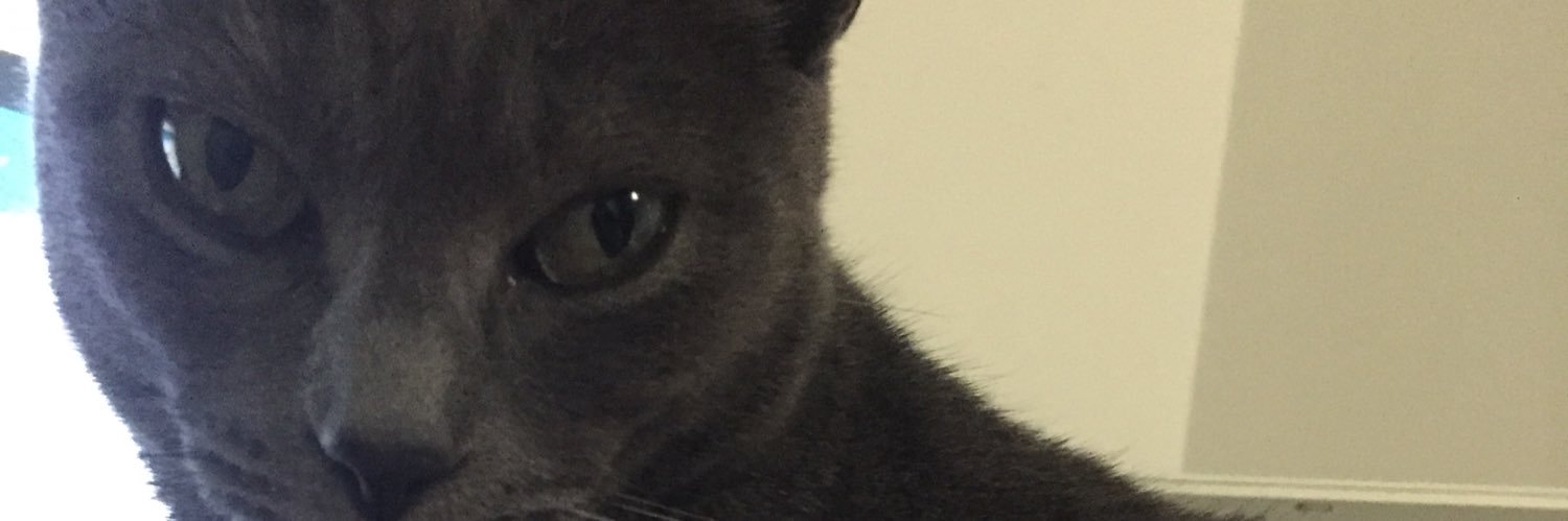 virginmu's profile banner image