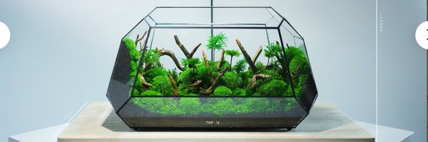 The_GlassLass Profile Banner