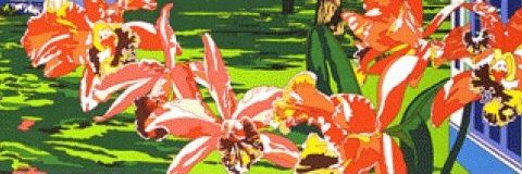 CanCee18's profile banner image