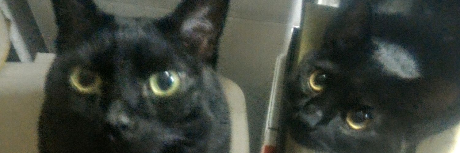 nyanpan2's profile banner image